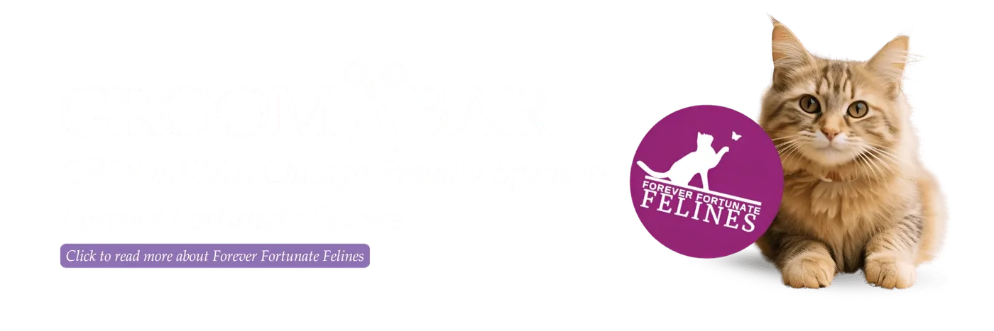Groombar Chicago proudly sponsors Forever Fortunate Felines