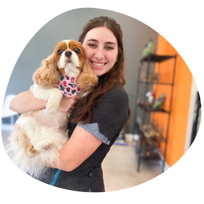 Rylie, Groombar Chicago groomer