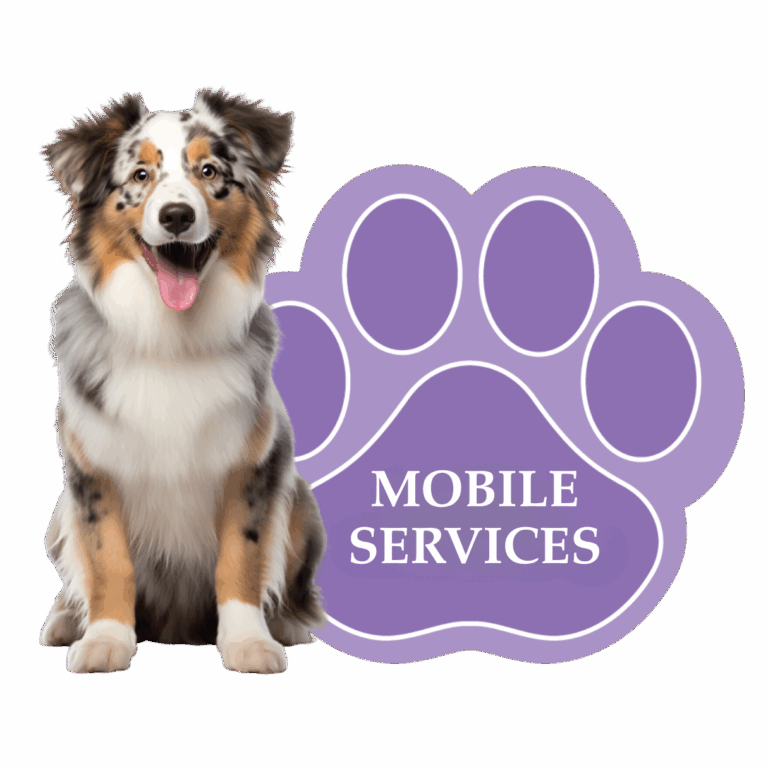 Mobile Services