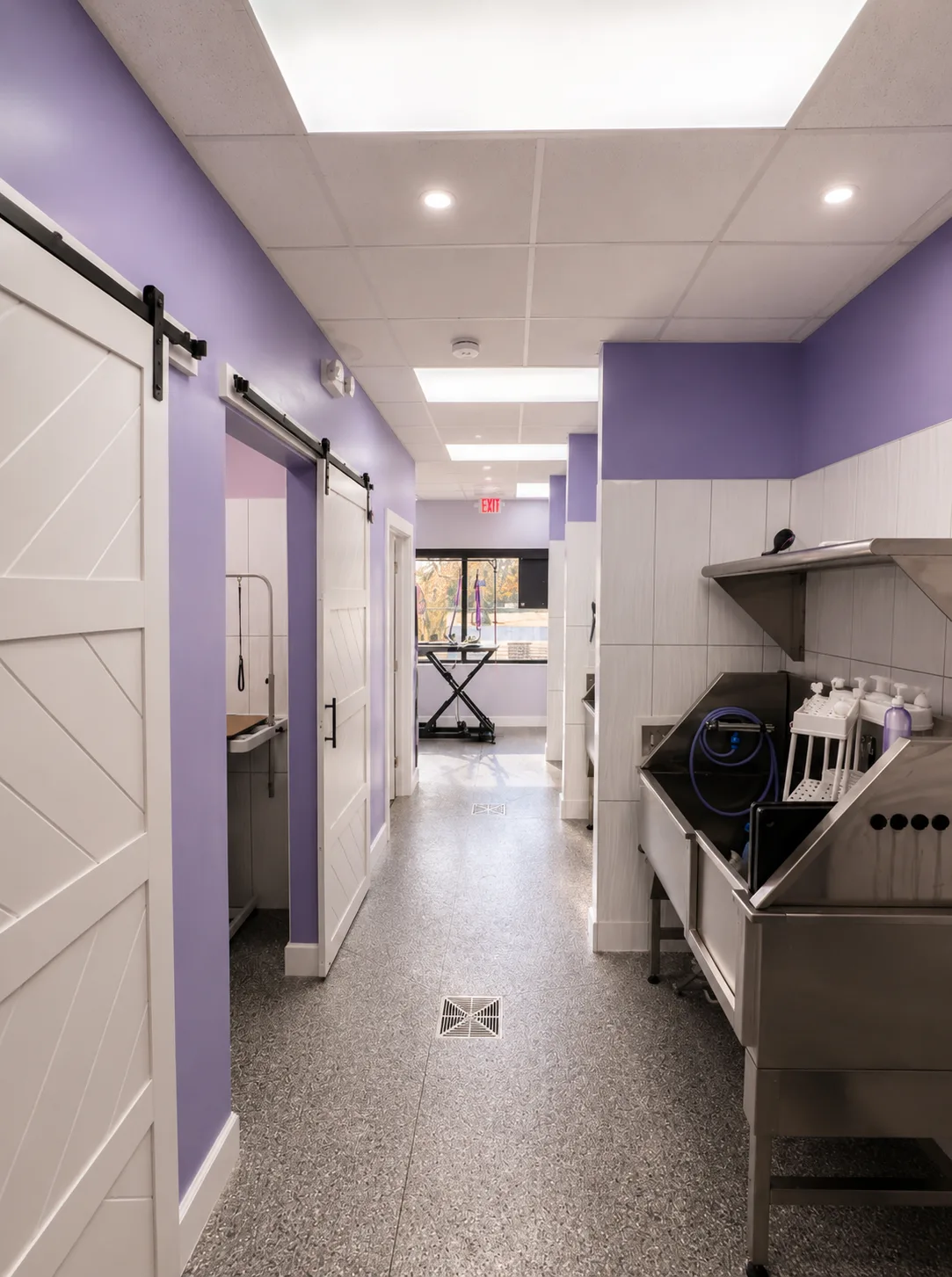 Bright purple Groombar wash-tub hallway with sliding barn doors and stainless steel tubs
